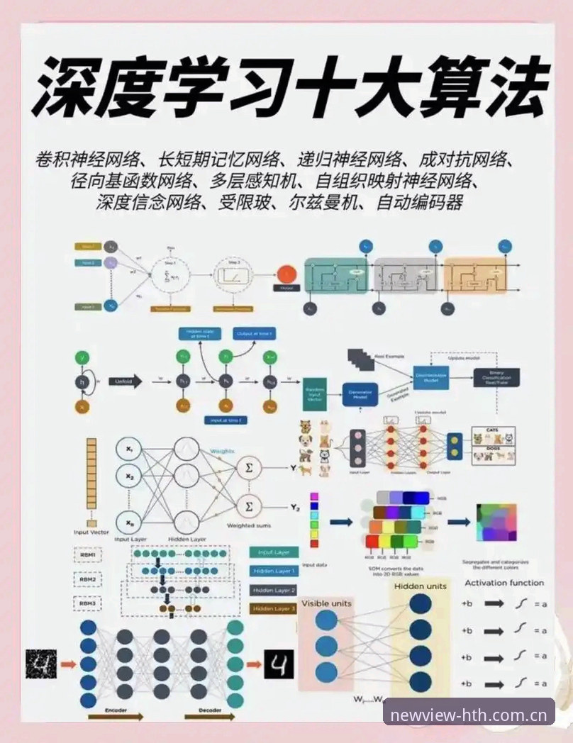 老用户才懂的实战经验：华体会探索运动新视界APP下载与使用避坑指南